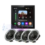 Audio Amplifier Set Manufacturer - OEM/ODM Smart Home WiFi Bluetooth 425W