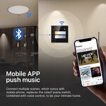 Touch Screen Switch Supplier - OEM/ODM Tuya 4 Inch WiFi 425W Bluetooth Wall Control