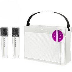 Karaoke Speaker Factory - OEM/ODM Camping Essentials Party Box Led Light Bt Amplifier