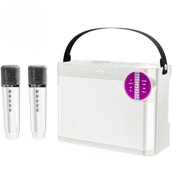 Karaoke Speaker Factory - OEM/ODM Camping Essentials Party Box Led Light Bt Amplifier