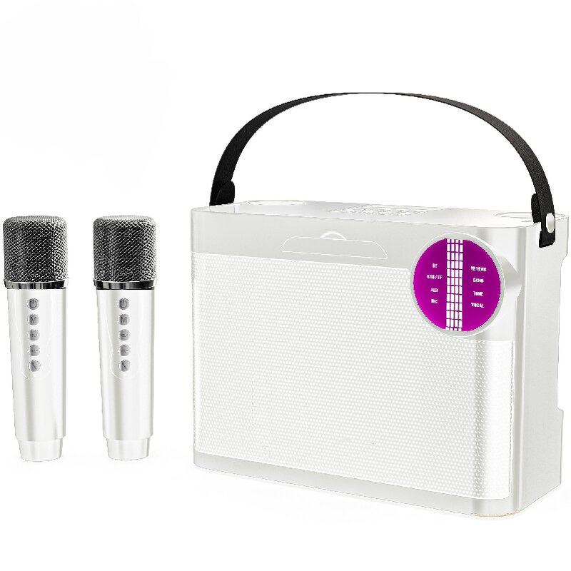 Karaoke Speaker Factory - OEM/ODM Camping Essentials Party Box Led Light Bt Amplifier