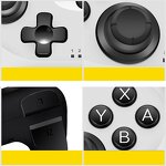 Wireless Game Controller Factory - OEM SW001 for Switch Six Axis Double Shock Gamepad