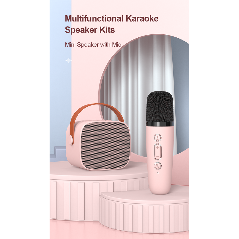 Mini Wireless Speaker Factory - OEM 2024 HIFI BT Speaker With Microphone Karaoke