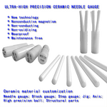 Ceramic Needle Gauge Factory - OEM High Precision Zirconia Non-Magnetic Pin Customizable