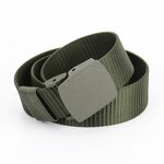 Canvas Belt Factory - OEM/ODM 1.5 Inch Special Shape POM Plastic Buckle Black Webbing