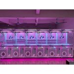 Claw Machine Factory - Bulk Wholesale Neon Transparent Commercial Colorful