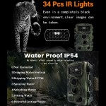 野生动物追踪相机工厂-代工DH1 1080P红外夜视IP66防水