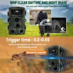 野生动物追踪相机工厂-代工DH1 1080P红外夜视IP66防水