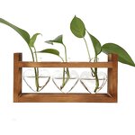Heart Shape Terrarium Factory - OEM/ODM Dropshipping with Retro Solid Wooden Stand Hydroponics