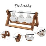 Glass Bulb Vase Factory - Wholesale Clear with Solid Wooden Stand Metal Swivel Holder