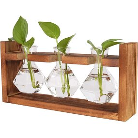 Hydroponic Glass Vase Supplier - OEM/ODM New Arrival Propagation Station Transparent Cylinder