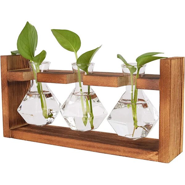 Hydroponic Glass Vase Supplier - OEM/ODM New Arrival Propagation Station Transparent Cylinder