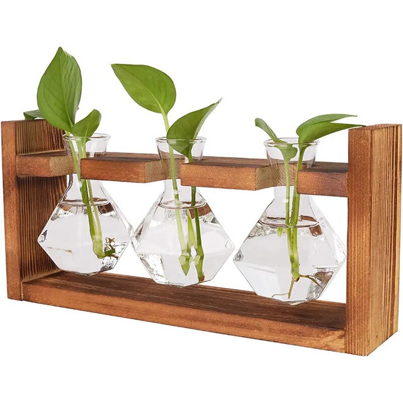 Hydroponic Glass Vase Supplier - OEM/ODM New Arrival Propagation Station Transparent Cylinder