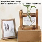 Heart Shape Terrarium Factory - OEM/ODM Dropshipping with Retro Solid Wooden Stand Hydroponics