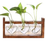 Heart Shape Terrarium Factory - OEM/ODM Dropshipping with Retro Solid Wooden Stand Hydroponics