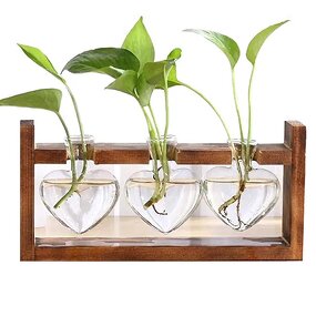 Plant Terrarium Manufacturer - OEM/ODM Dropshiping with Wooden Stand Desktop Glass Planter