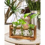 Plant Terrarium Manufacturer - OEM/ODM Dropshiping with Wooden Stand Desktop Glass Planter