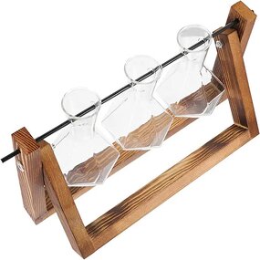 Diamond Glass Planter Supplier - OEM/ODM DS Bulb Vase with Solid Wooden Stand for Home