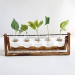 Wooden Terrarium Stand Factory - OEM/ODM Hot Cylinder with 5 Bulbs Desktop Propagation