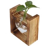 Heart Shape Glass Vase Manufacturer - OEM/ODM NEW Hydroponic Terrarium with Wooden Stand