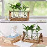 Desktop Air Plant Terrarium Manufacturer - OEM/ODM Dropshipping with Solid Wooden Stand Diamond
