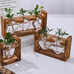 Wooden Frame Glass Vase Manufacturer - OEM/ODM HOT Vintage Flower Pot Table Desktop