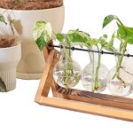 Hydroponic Planter Manufacturer - OEM/ODM New Retro-Style with Wooden Stand Air Bulb Vase
