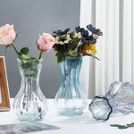 Glass Vase Manufacturer - OEM/ODM Modern Creative Light Luxury Colorful Hydroponic Vase