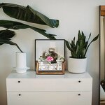 Glass Bulb Vase Factory - Wholesale Clear with Solid Wooden Stand Metal Swivel Holder