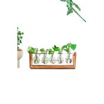 Hydroponic Planter Manufacturer - OEM/ODM New Retro-Style with Wooden Stand Air Bulb Vase