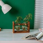 Cylinder-Shaped Terrarium Supplier - OEM/ODM Dropshipping Desktop Glass Planter Wooden Stand