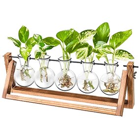 Hydroponic Planter Manufacturer - OEM/ODM New Retro-Style with Wooden Stand Air Bulb Vase