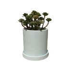 Ceramic Flower Pot Supplier - OEM/ODM Straight Cylindrical Nordic Color European Planting