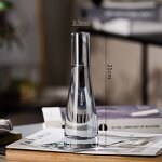 Hydroponic Mini Flower Bottle Factory - OEM/ODM Single Ins Wind Glass Transparent Nordic