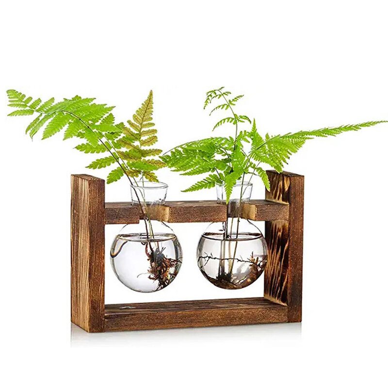 Cylinder-Shaped Terrarium Supplier - OEM/ODM Dropshipping Desktop Glass Planter Wooden Stand