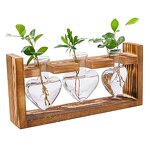 Wooden Frame Glass Vase Manufacturer - OEM/ODM HOT Vintage Flower Pot Table Desktop