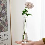 Hydroponic Mini Flower Bottle Factory - OEM/ODM Single Ins Wind Glass Transparent Nordic