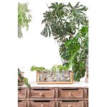 Hydroponic Planter Manufacturer - OEM/ODM New Retro-Style with Wooden Stand Air Bulb Vase