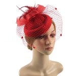 Feather Hair Accessories Factory - Luxury Vintage Veil Bridal Fascinator for Wedding Party