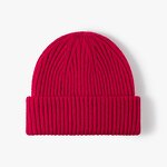 Ski Sports Beanie Manufacturer - OEM/ODM Cross-border Thick Warm Jacquard Windproof Unisex