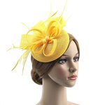 Bride Feather Headpiece Factory - OEM/ODM Elegant with Polka Dot Veil Flower Clip Vintage