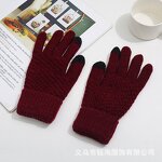 Solid Color Winter Gloves Supplier - Wholesale New Fashion Unisex Warm Plush Knit Fingerless Adult