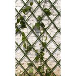 Plant Fence Supplier - Hot Sale PE Coated Bamboo Expanding Trellis Easy-to-Install