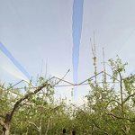 Hail Mesh Supplier - High Quality HDPE Anti-Hail Nets Portable Waterproof