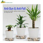 Plant Saucer Supplier - Decoration House Style Plastic Flower Por Saucer