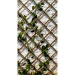 Wooden Extension Trellis Supplier - High-quality Customizable Corrosion Resistance Netting