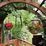 Metal Hanging Basket Supplier - Diameter 10'' Iron Garden Ornaments Hanging