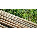 Bamboo Poles Garden Fence Factory - Professional Cheap Eco Friendly Natural Dried