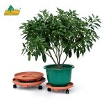 Pot Mover Trolley Supplier - High Quality Heavy Duty Movable Plastic with Wheels