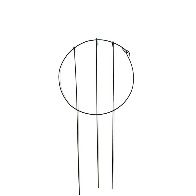 Flower Support Factory - OEM/ODM 2021 Factory Customized Climbing Plants Circle